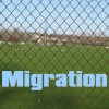 migration