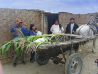 Transportation