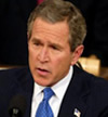 Bush
